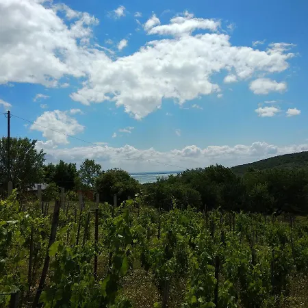 Balaton Glamping Felsőörs